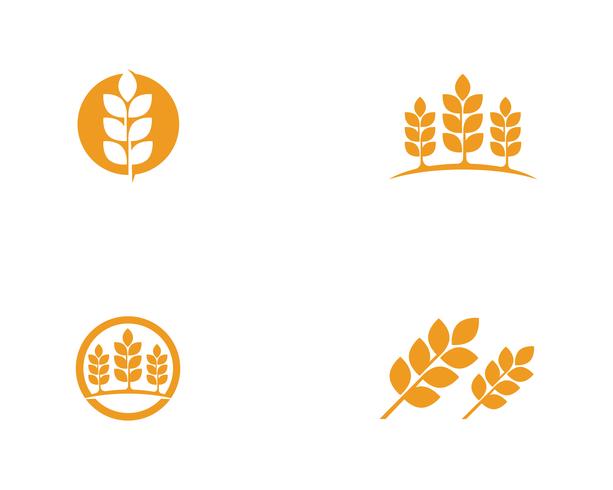 Agriculture wheat Logos vector