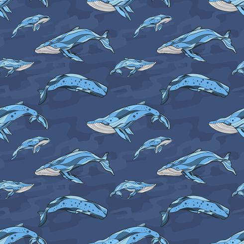 Whale seamless pattern handrawn  vector