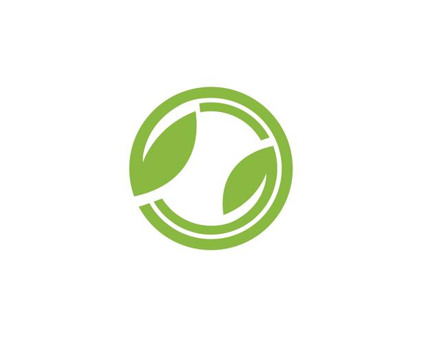 Plantilla del diseño del ejemplo del icono del vector del verde de la hoja del árbol