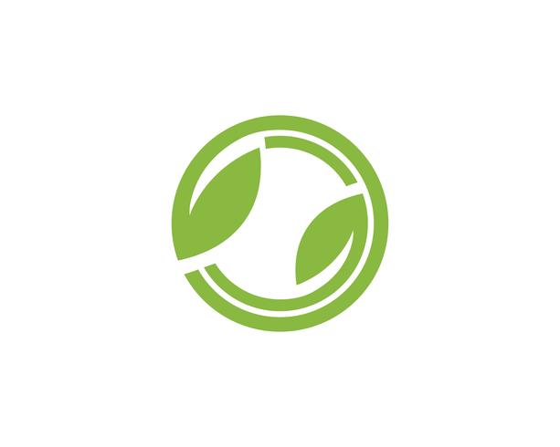 Tree Leaf  green Vector icon Illustration design template