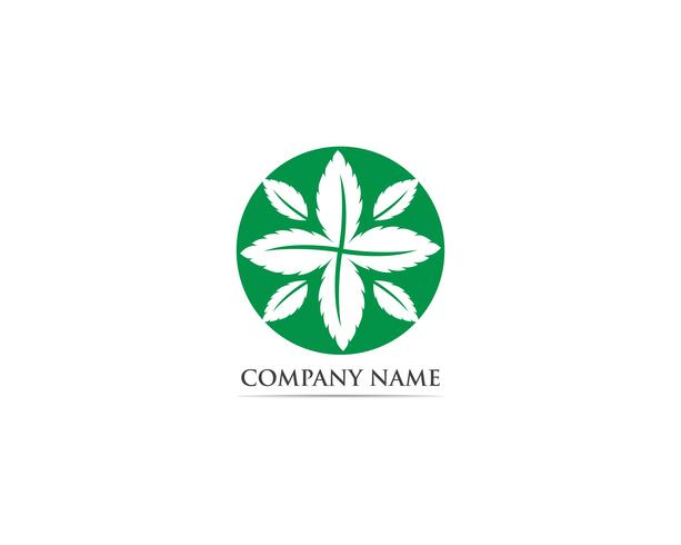 Mint leaf logo and symbol vector