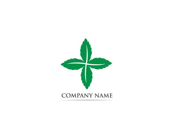 Mint leaf logo and symbol vector