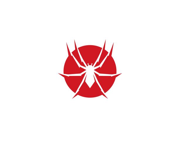 Spider logo vector illustrations