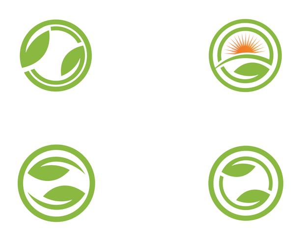 Plantilla del diseño del ejemplo del icono del vector del verde de la hoja del árbol
