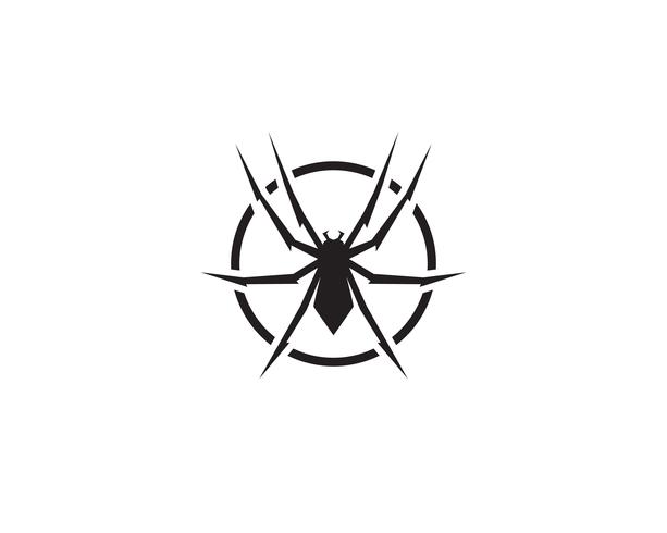 Spider logo vector illustrations