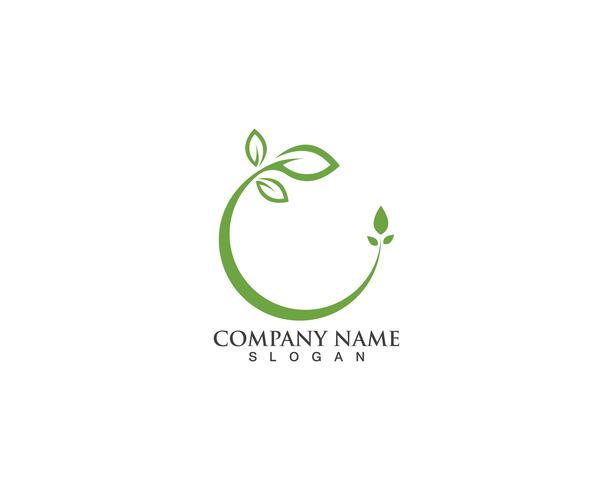 leaf green nature logo  vector