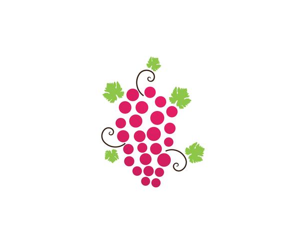 grape purple and green vector illustration