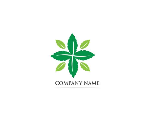 Mint leaf logo and symbol vector