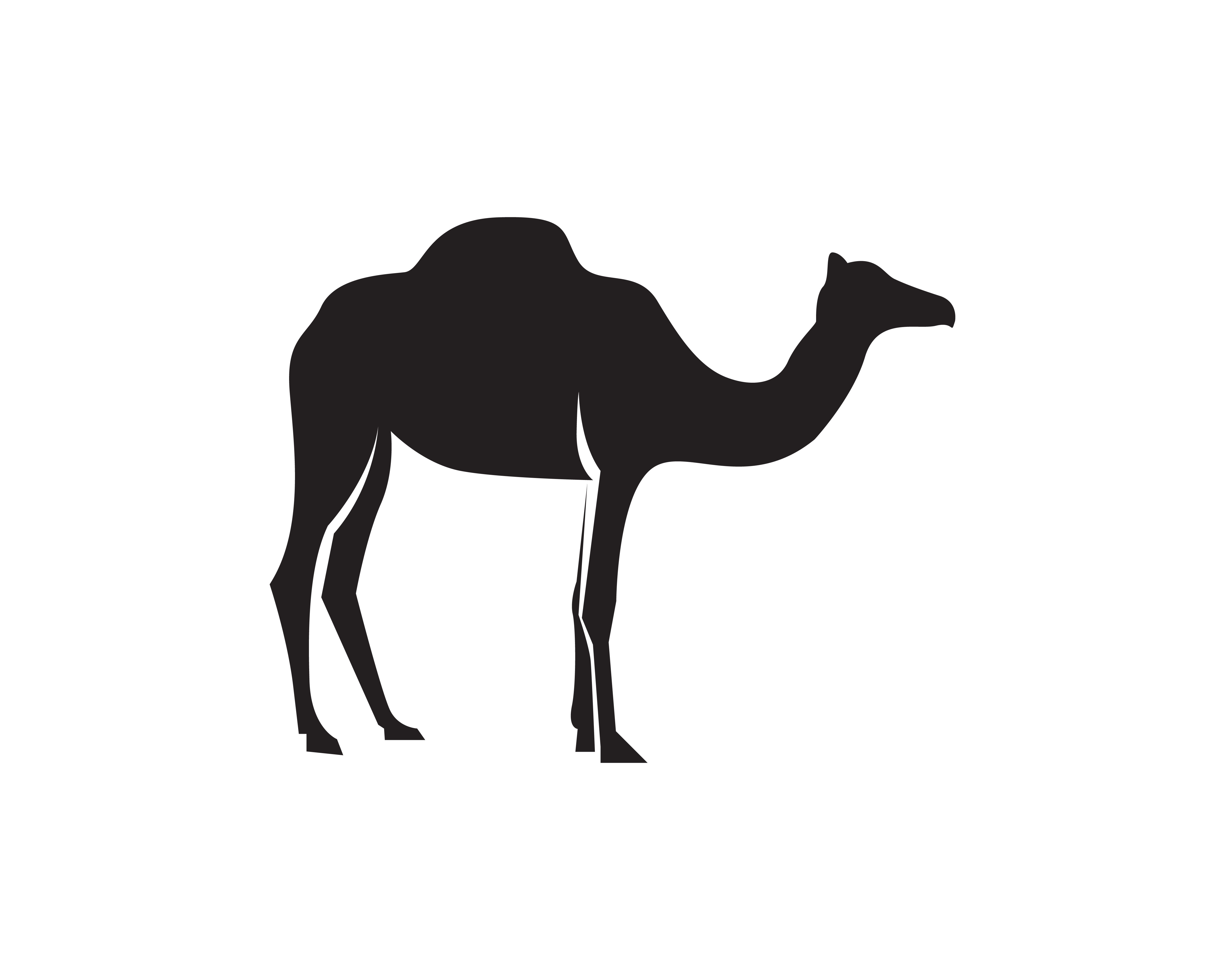 Camel Logo