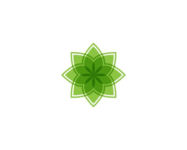 Tree Leaf  green Vector icon Illustration design template