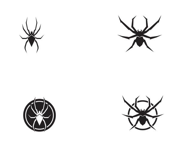 Spider logo vector illustrations