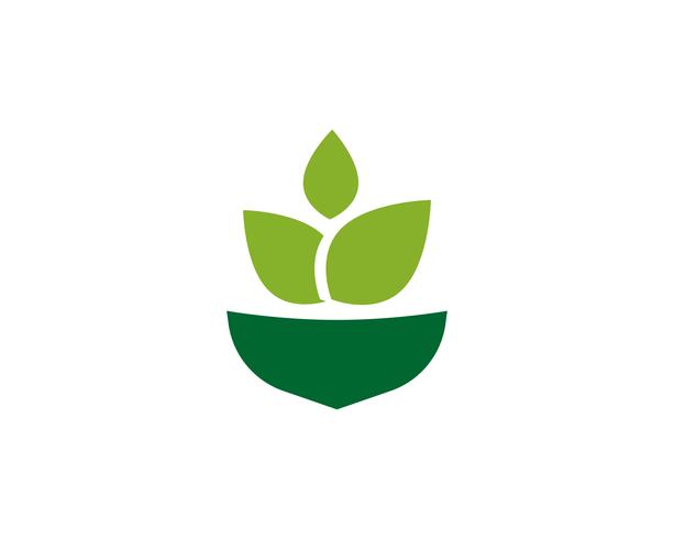 Imagen de vector verde único de plantilla de logotipo empresarial de agricultura