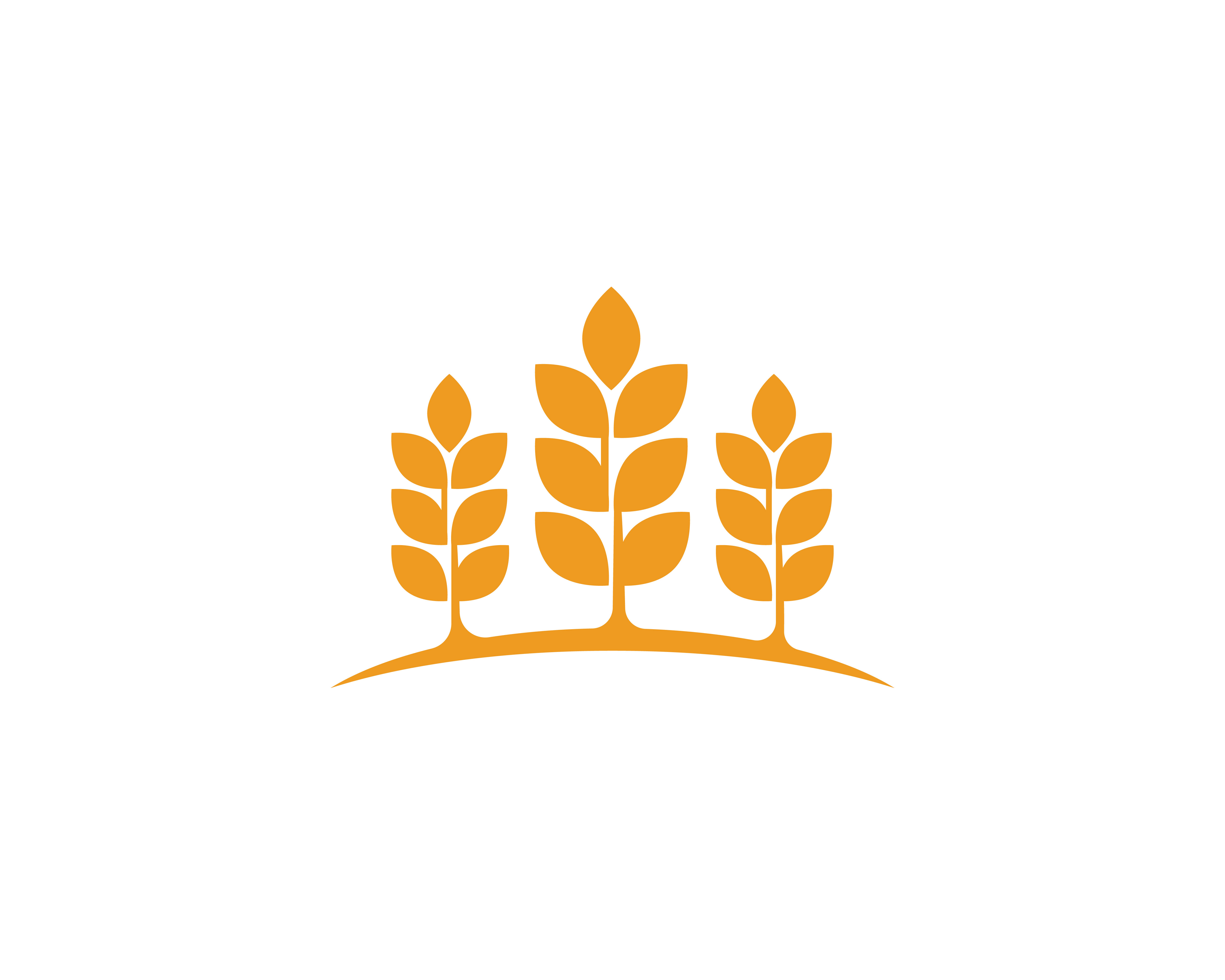 Agriculture wheat Logos 623381 Vector Art at Vecteezy