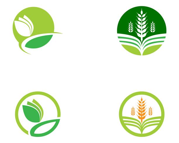 Imagen de vector verde único de plantilla de logotipo empresarial de agricultura