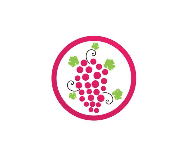 grape purple and green vector illustration