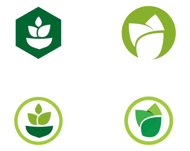 Agriculture business logo template unique green vector image