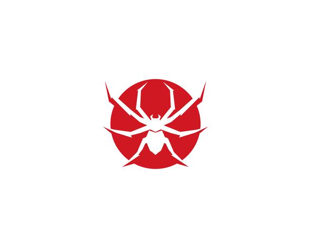 Spider logo vector illustrations