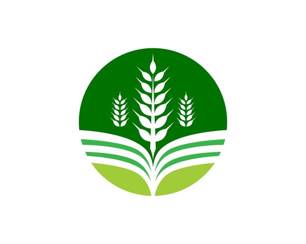 Agriculture business logo template unique green vector image