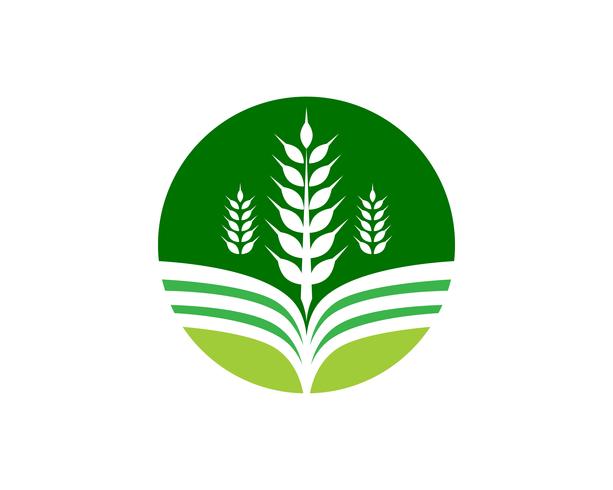 Imagen de vector verde único de plantilla de logotipo empresarial de agricultura