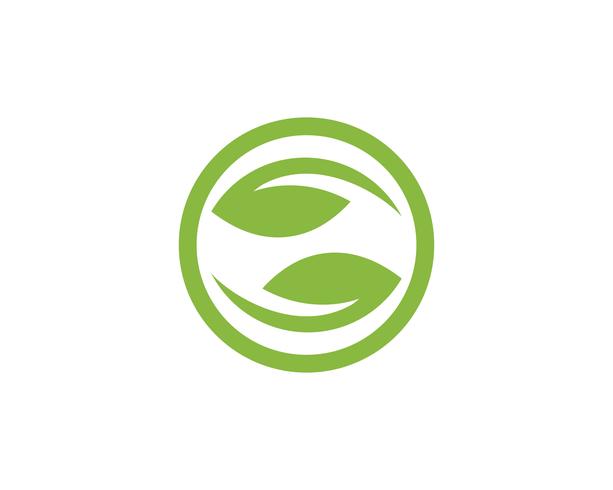 Tree Leaf  green Vector icon Illustration design template