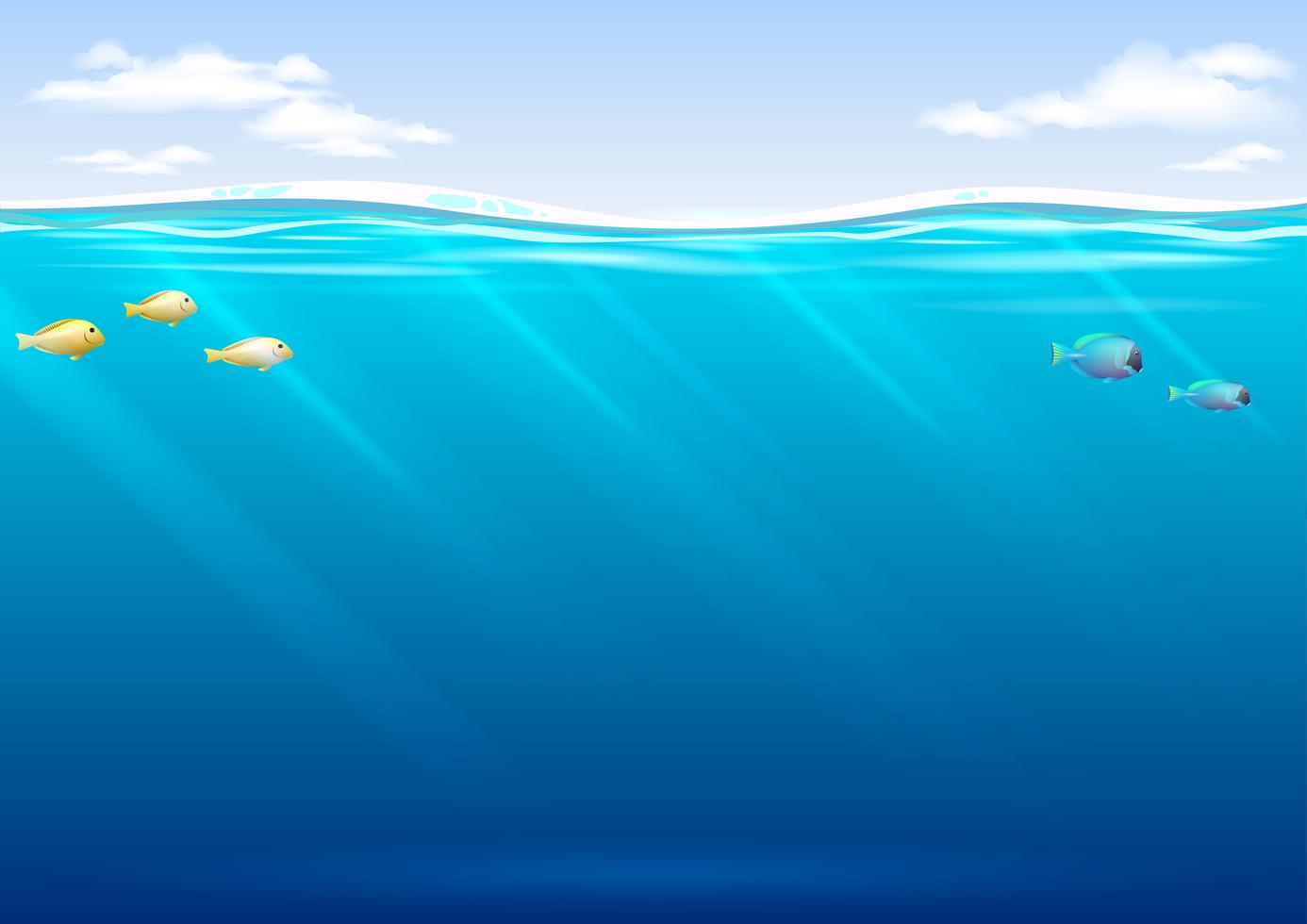 Underwater background with tropical fish and sky 623832 Vector Art at