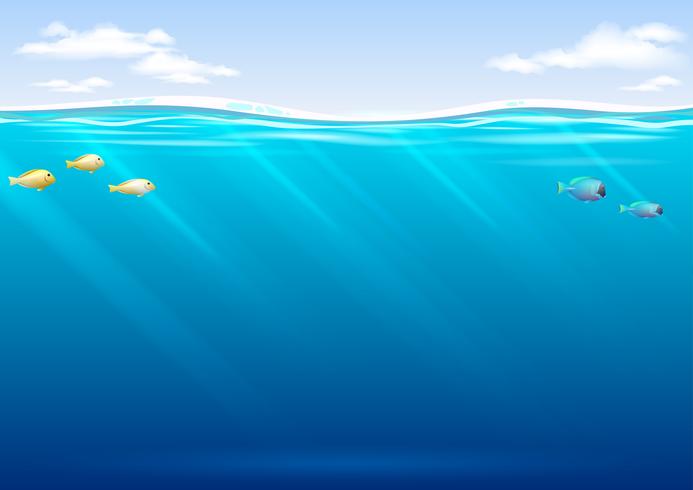 Fondo submarino con peces tropicales y cielo. vector