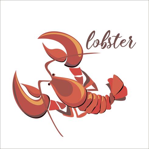 Langosta. Cáncer. Mariscos. Diseño. Ilustracion vectorial vector