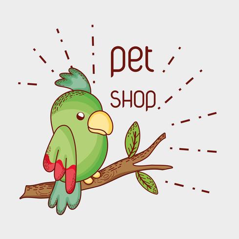 Tienda de mascotas loro en rama de árbol vector