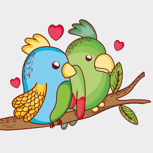 Parrots on the tree branch vector