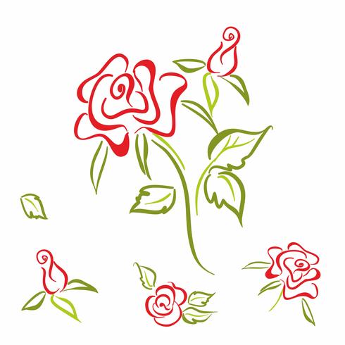 Rose. flower. elements. set. For the decoration of cards. Linear sketch . Vector. vector