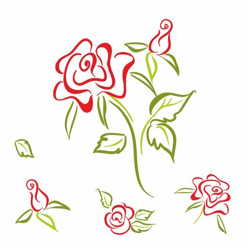 Rosa. flor. elementos. conjunto. Para la decoración de tarjetas. Dibujo lineal. Vector. vector