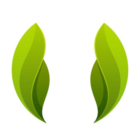 Green leaf, two leaves logo, icon. vector