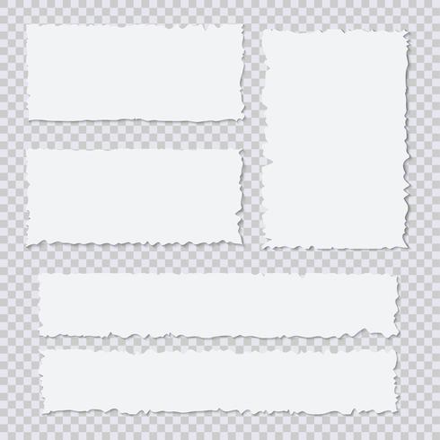 Pedazos de papel rasgados blancos en blanco sobre fondo transparente vector