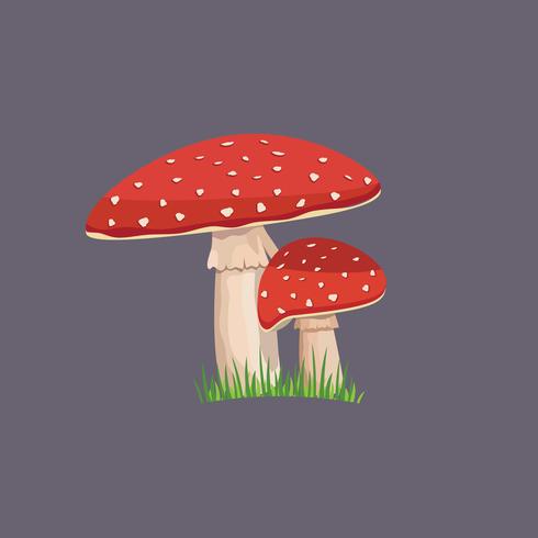 Amanita mushroom with green grass vector