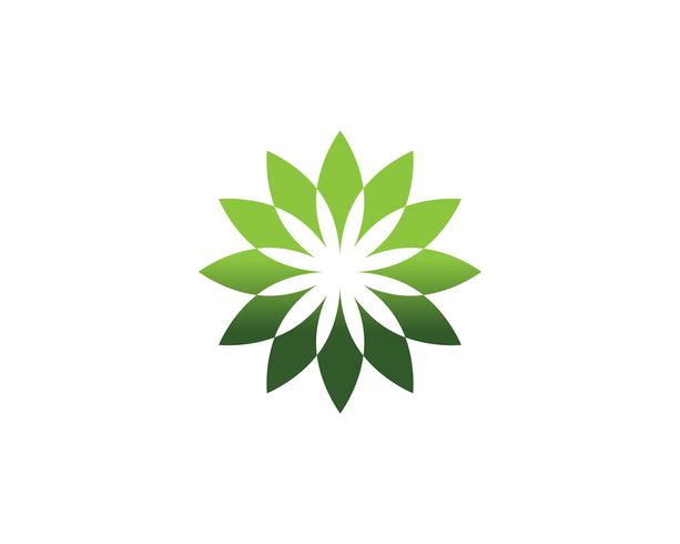 hoja verde ecología naturaleza elemento vector