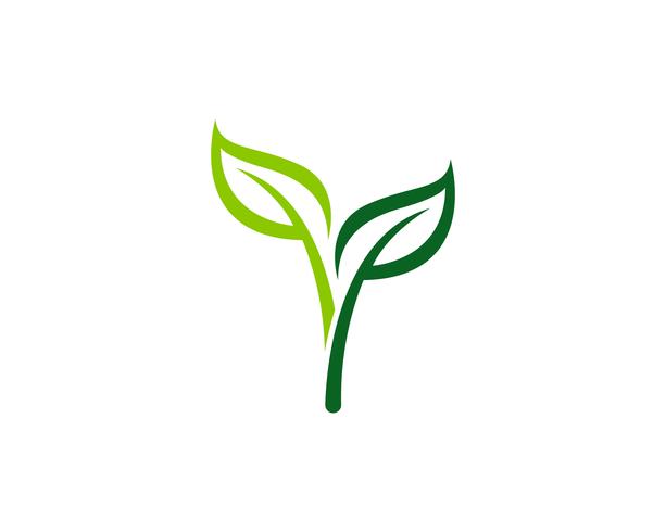 Logotipos de vector de elemento de naturaleza de hoja verde ecología