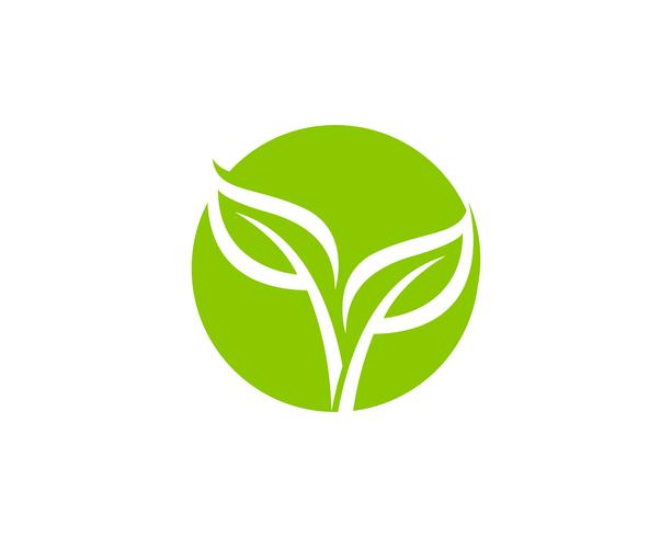 Logotipos de vector de elemento de naturaleza de hoja verde ecología