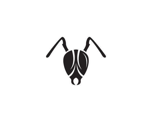 Ant Logo template vector illustration 