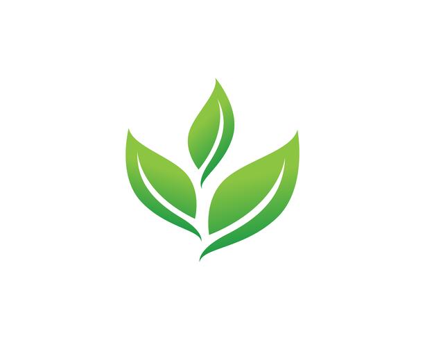 Vector logo de hoja verde