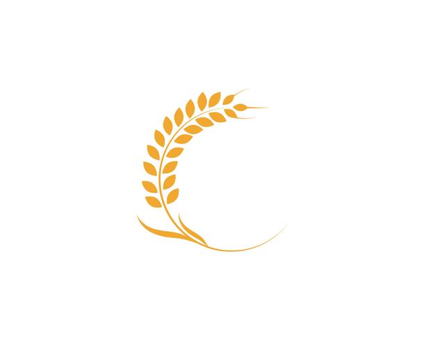 Agriculture wheat Logo Template vector icon design