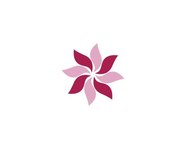 Ilustración de diseño de flores de icono de plumeria de belleza vector