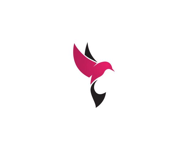 Plantilla de vector logo de pájaro