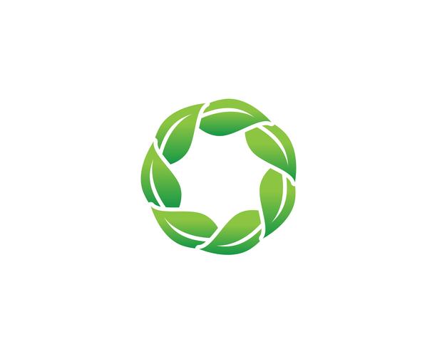 Green leaf logo  vector