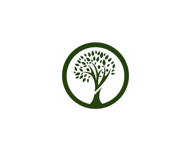 family tree logo template vector