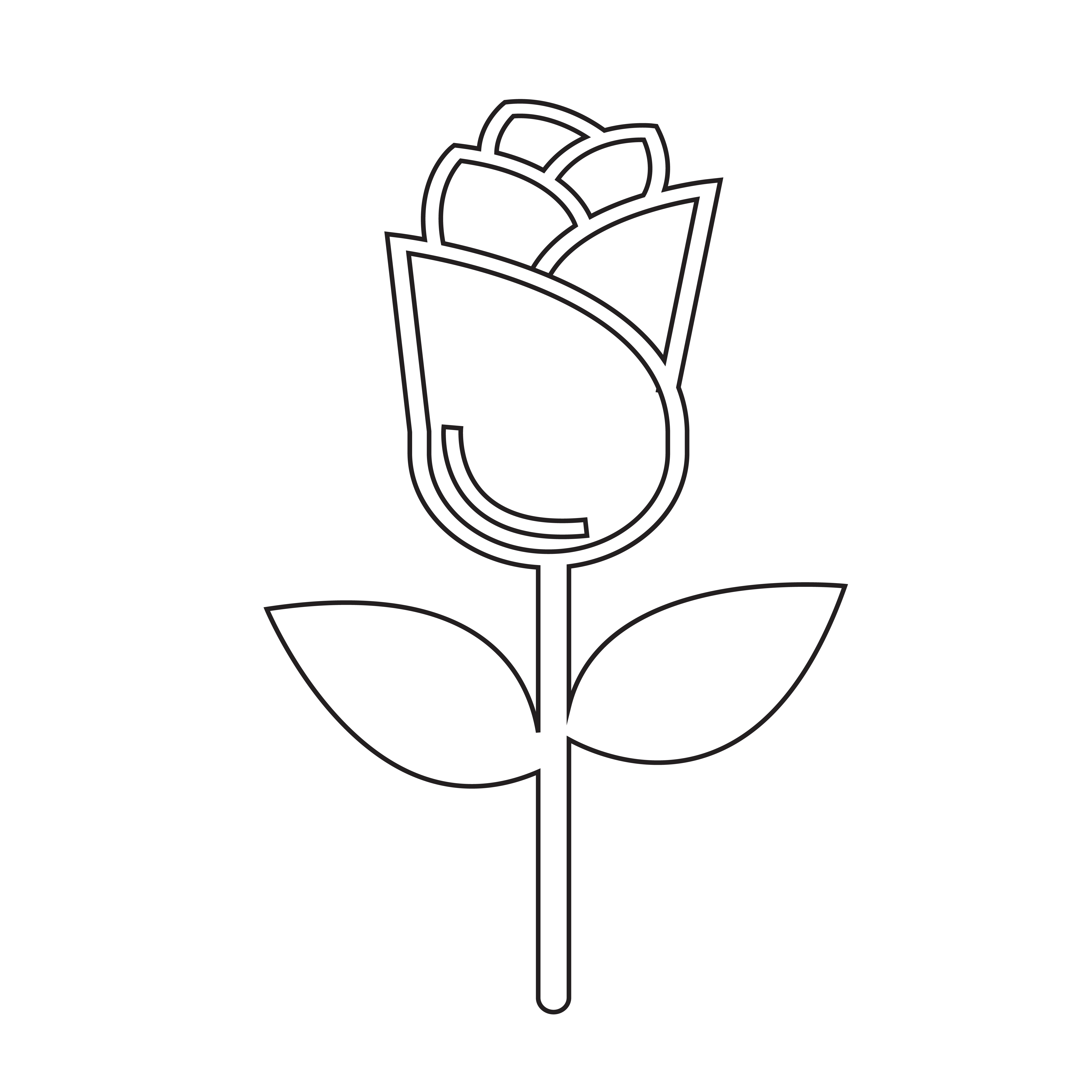 rose icon symbol sign 627823 Vector Art at Vecteezy