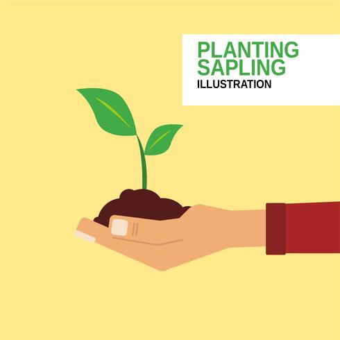 Planting Sapling vector