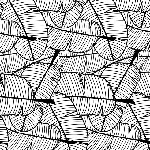 Tropical Pattern Background. Hand Drawn Vector Illustration.