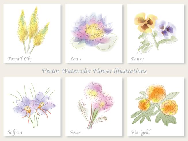 Conjunto de seis ilustraciones de vectores de flores.