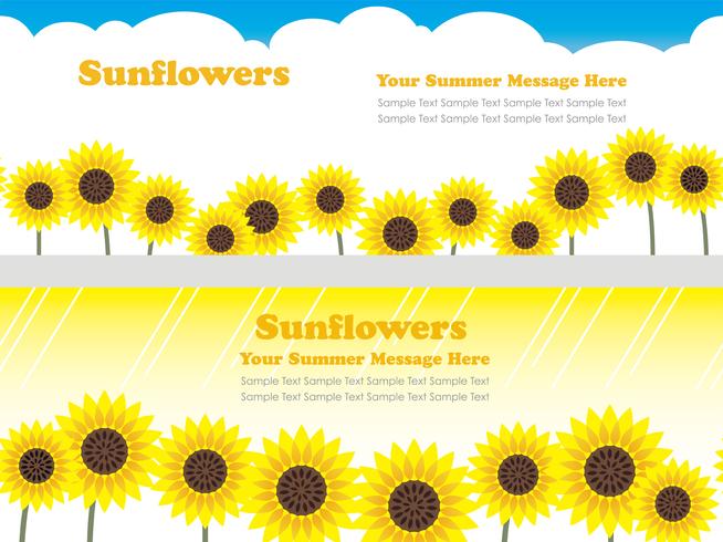 Set of two seamless vector background with sunflowers and text space. 