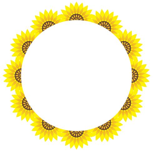 Circular sunflower frame with text space.  vector